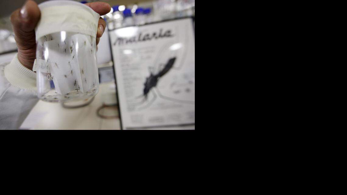 Foto de archivo. Una nueva investigación descubre cómo los mosquitos portadores de la malaria sobreviven durante la estación seca.
