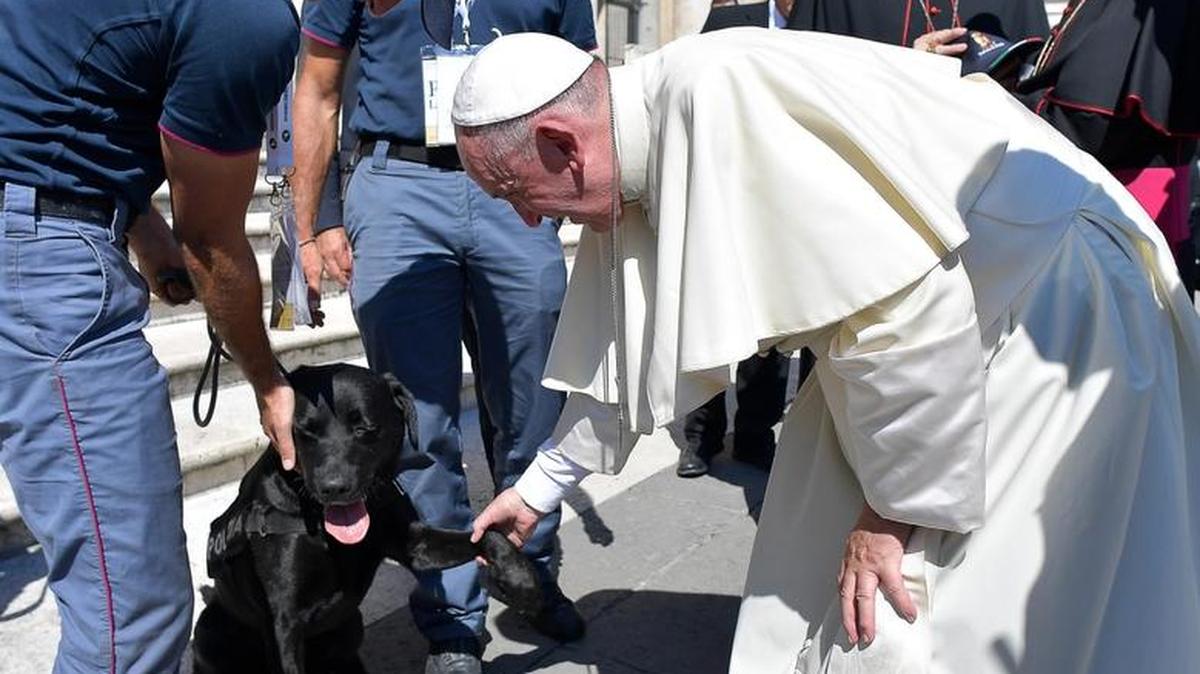 El Papa dedica un momento al labrador que halló a un niño sobrevivente de cuatro años tras el terremoto en Italia.
