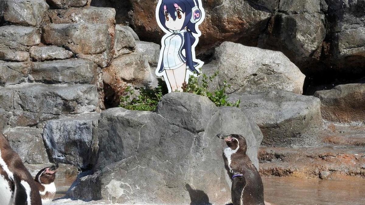 Foto tomada el 27 de abril de 2017 y publicada el 14 de octubre de 2017 por el Zoológico Tobu muestra al pingüino “Grape”.