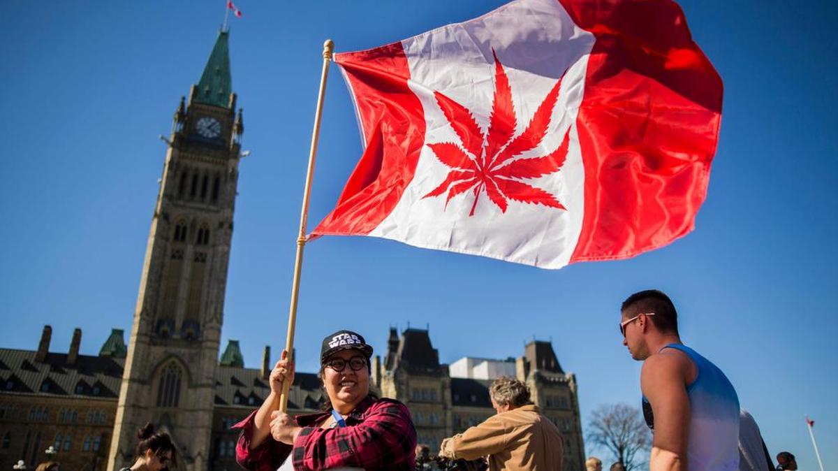 En Canadá se permite el consumo de cannabis con fines medicinales desde 2011 y sería el primer país del G7 en autorizarlo con fines recreativos.