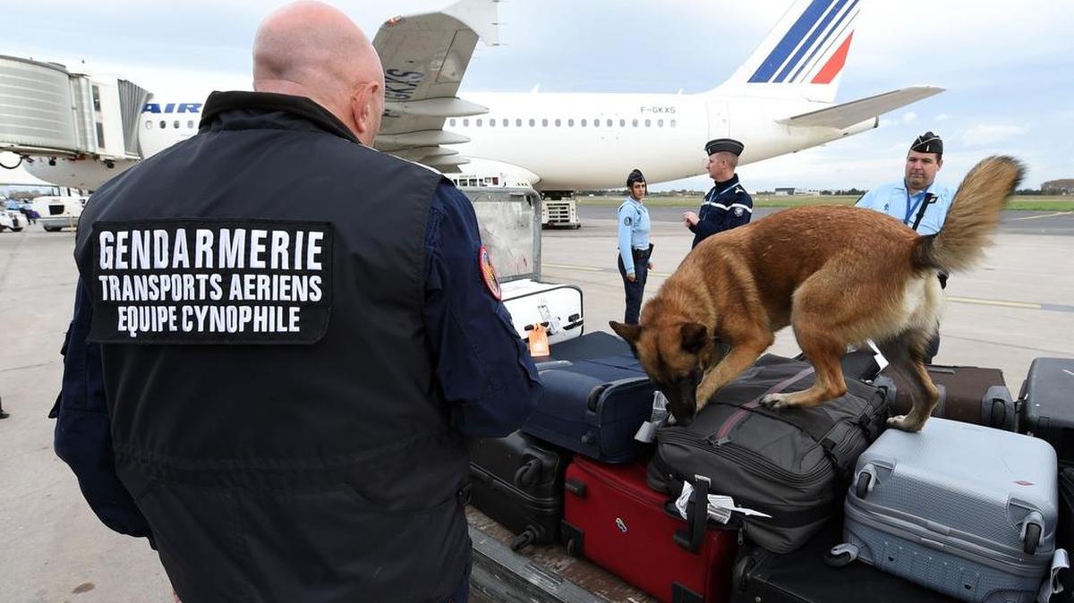 La Comisión Europea prometió el viernes modificar el acuerdo de Schengen de libre circulación de personas y generalizar los controles en las fronteras exteriores del bloque.