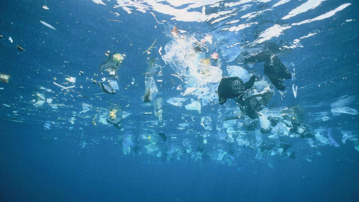 Basura y plásticos flotan en el mar. -- Los Estados miembros de la ONU han llegado este sábado a un acuerdo sobre un tratado de los océanos para proteger la alta mar y la biodiversidad de áreas fuera de la jurisdicción nacional.