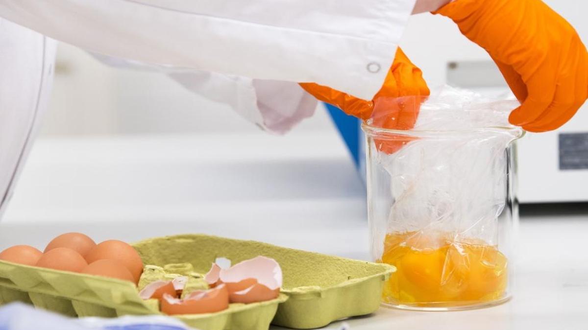 Esta foto de archivo tomada el 1 de agosto de 2017 muestra un asistente de laboratorio de la Junta holandesa de seguridad de alimentos y productos NVWA que investiga los huevos después de que fipronil se encontró en muestras de huevos. Muchos huevos de Holanda contaminados por Fipronil, un plaguicida prohibido, llegaron a Francia, el ministro de Agricultura francés anunció el 7 de agosto de 2017.