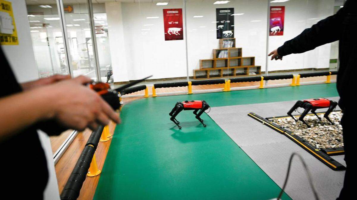 Un robot AlphaDog es controlado de forma remota en un taller en la Corporación de Tecnología Inteligente de Weilan en Nanjing, provincia china de Jiangsu, el 2 de abril del 2021.