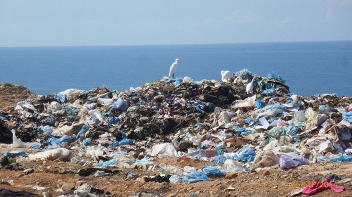 Los expertos predicen que los océanos tendrán más plástico que peces para el 2050.