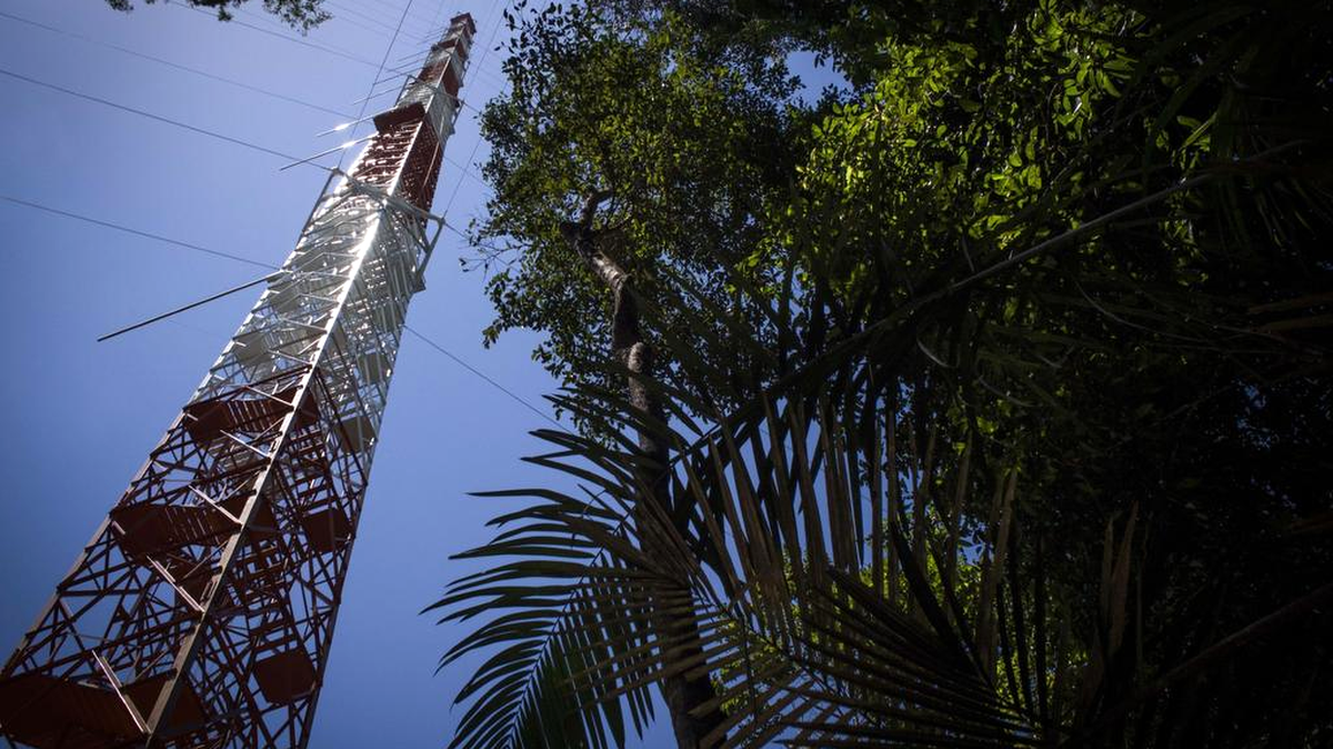 
El Observatorio de Torre Alta de la Amazonia (ATTO por sus siglas en inglés) está en el medio de la reserva ecológica de Uatumá, a unos 350 km de Manaos (norte del país) al que se llega tras un largo recorrido por carreteras de tierra y navegación por río.

