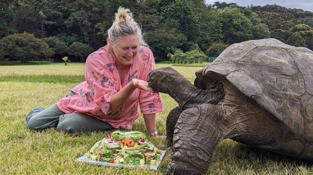 La tortuga Jonathan, el animal terrestre más viejo del mundo, cumplió 190 años el 4 de diciembre.