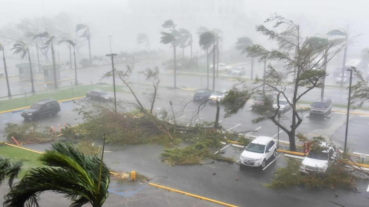 Arboles son derribados en un estacionamiento en el Coliseo Roberto Clemente en San Juan, Puerto Rico, el 20 de septiembre de 2017, durante el paso del huracán María.