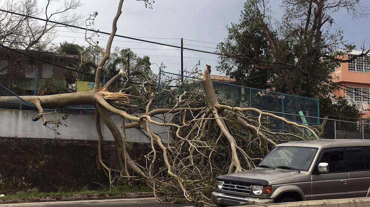 Daños causados por el devastador huracán María, que el miércoles azotó la isla con vientos de más de 200 kilómetros por hora ocasionando inundaciones y destrozos en toda la isla.