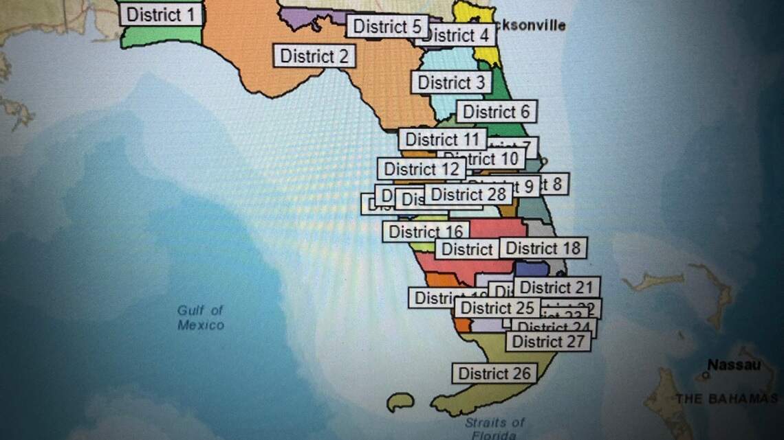 La redistribución de distritos puede quitarle  poder a minorías hispanas y negras en Florida | Opinión
