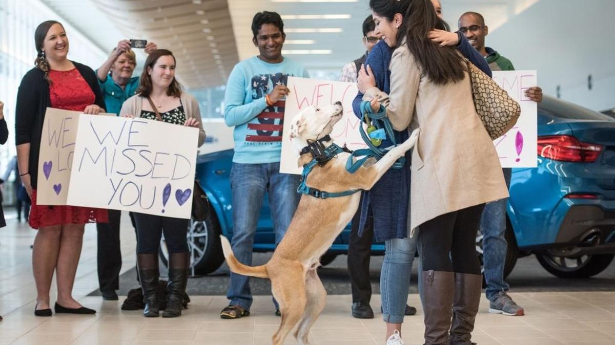 La ingeniera iraní Nazanin Zinouri es recibida en el aeropuerto de Greenville, en Carolina del Sur. Zinouri, que trabaja en una empresa de tecnología y vive en EEUU desde hace siete años, tuvo dificultades para regresar después de un viaje para visitar a su familia en Irán.