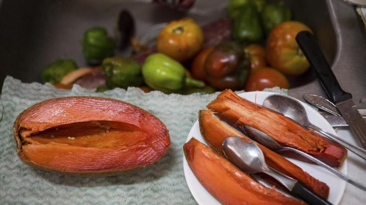 Cuando la niña pinta a su abuelo siempre lo hace junto a una camioneta llena de mangos, mameyes y aguacates: frutos del paraíso guajiro que es el patio de la casa del abuelo en el South West de Mami