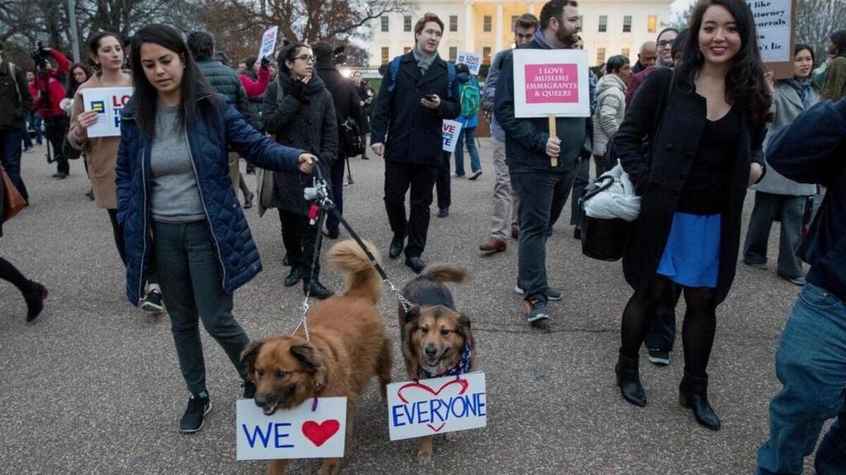 Una multitud protesta frente a la Casa Blanca contra las medidas migratorias del presidente Trump, el 6 de marzo. Los carteles de los perros dicen: “Amamos a todo el mundo”.