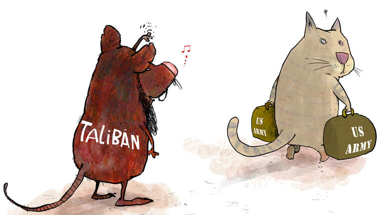 En Afganistán, las ratas esperaron que se fuera el gato para celebrar