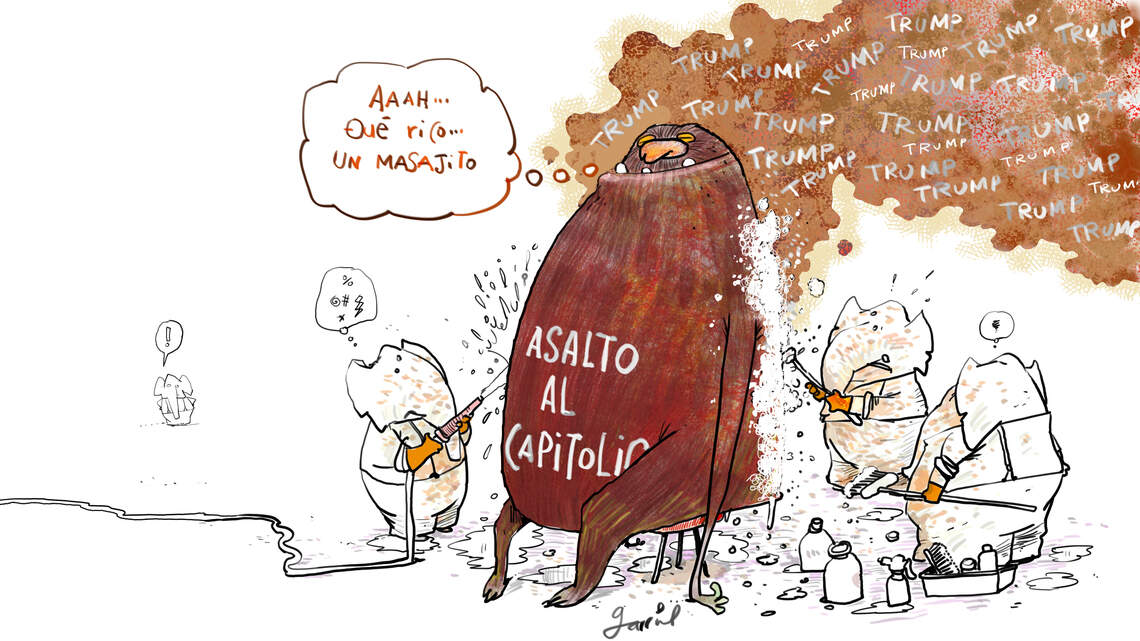 Las manchas del 6 de enero no se pueden borrar | Galería de Caricaturas
