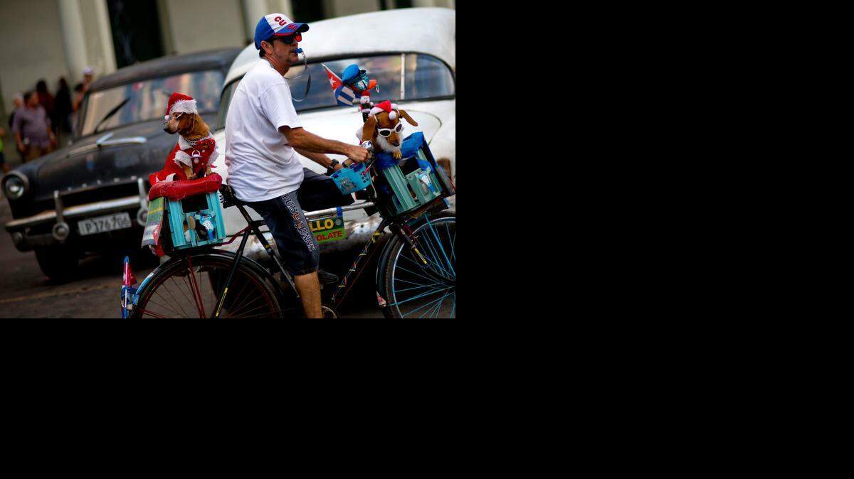 
Un artista callejero con dos perros vestidos de Santa Claus en luna calle de La Habana el pasado 29 de diciembre.


