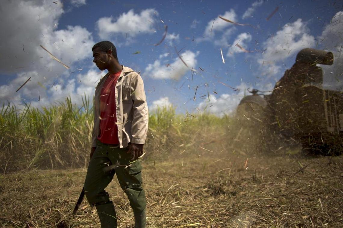 A worker toils in the sugarcane fields near Artemisa, Cuba. This year Cuba has one of the worst sugar crops in its history.