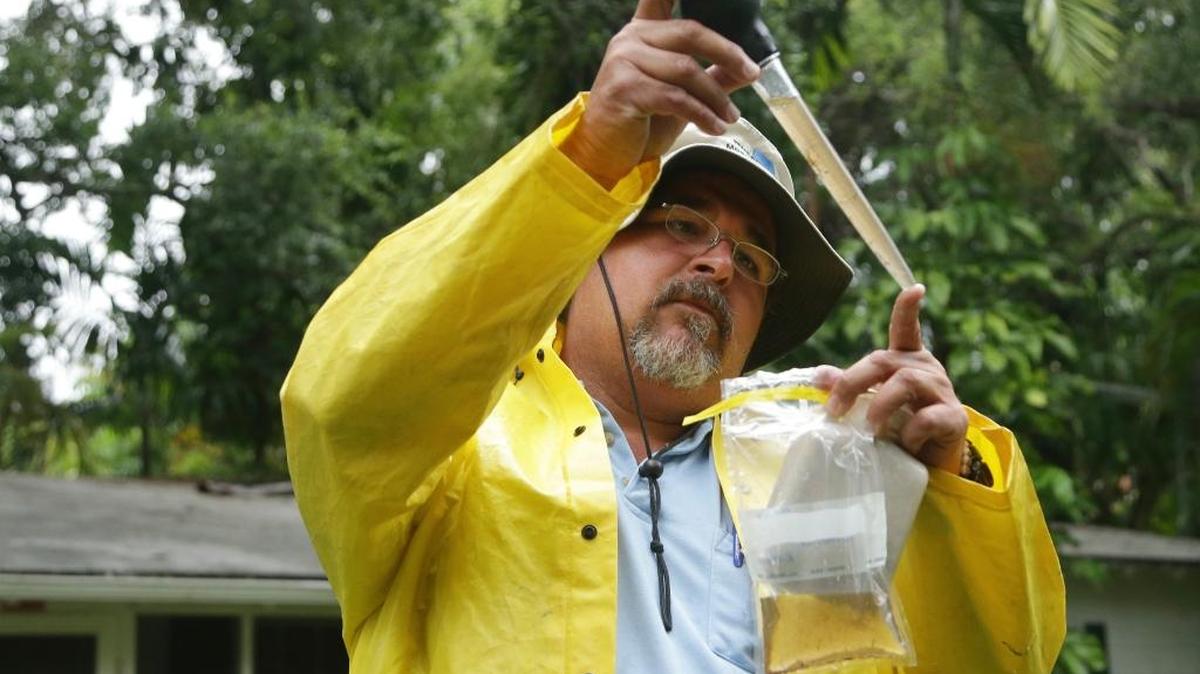 Robert Muxo, del Departamento de Control de Mosquitos de Miami-Dade, toma una muestra de agua estancada en Miami. Los funcionarios de salud están preocupados con la propagación del virus del zika.