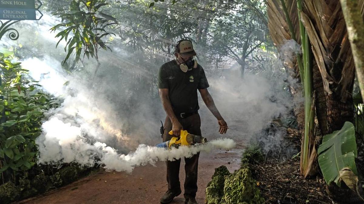 Fran Middlebrooks, empleado del Pinecrest Gardens, fumiga con insecticida para combatir los mosquitos como parte de la batalla contra el zika en Miami-Dade.
