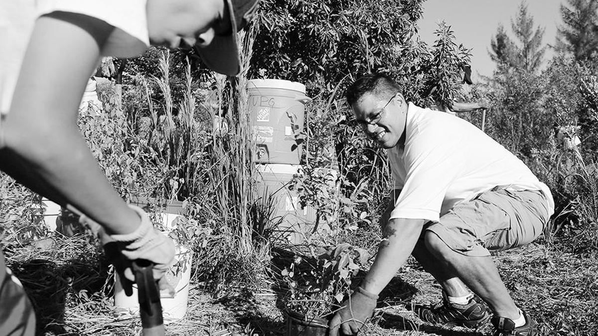Voluntarios plantan árboles en Oleta River State Park, Miami.