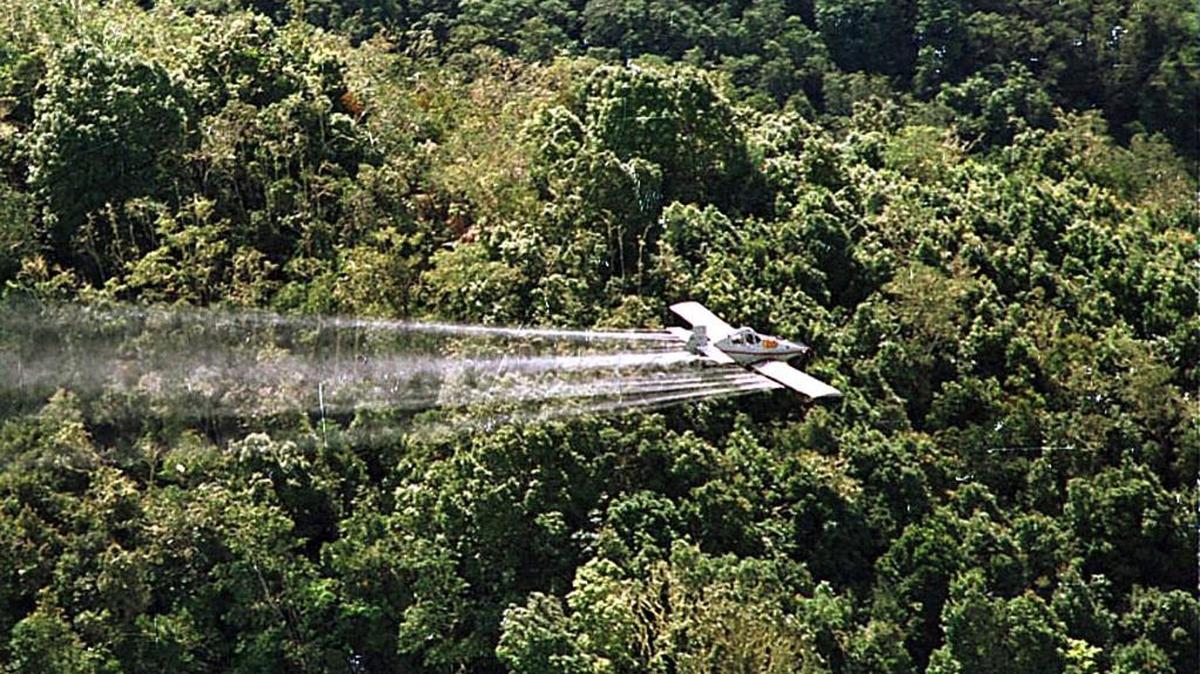 Una avioneta fumiga cultivos de coca en Putumayo, Colombia, en foto sin fechar.
