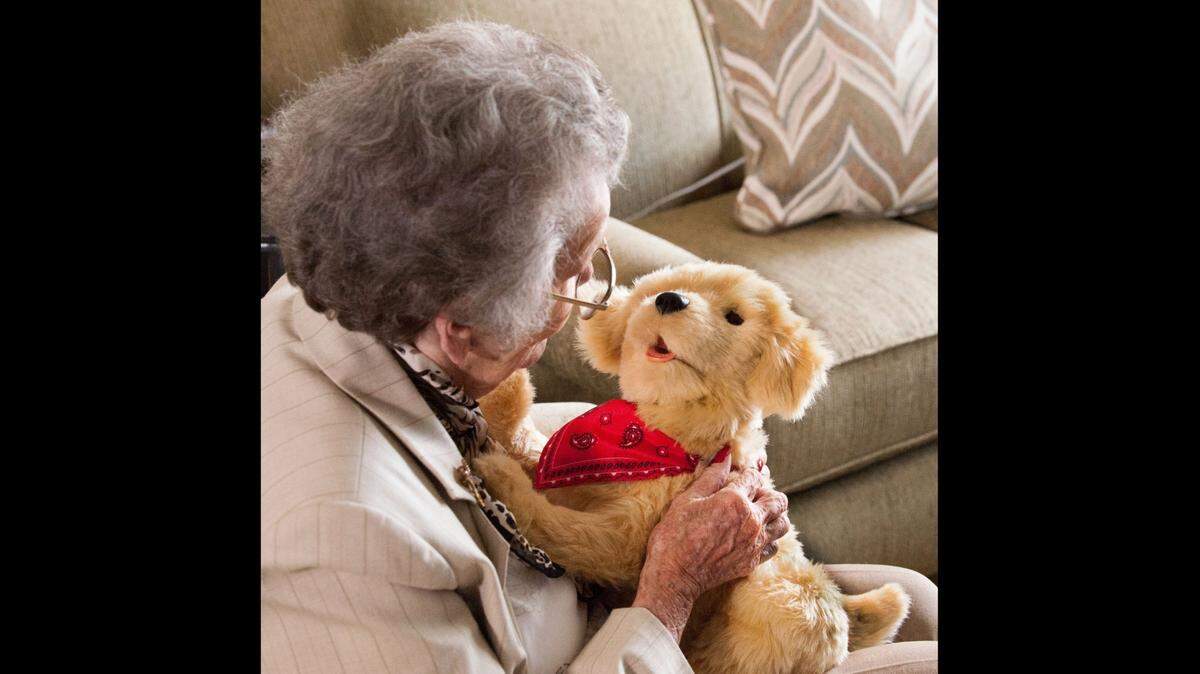 Durante la pandemia le entregaron mascotas robóticas a adultos mayores socialmente aislados que viven con la enfermedad de Alzheimer.