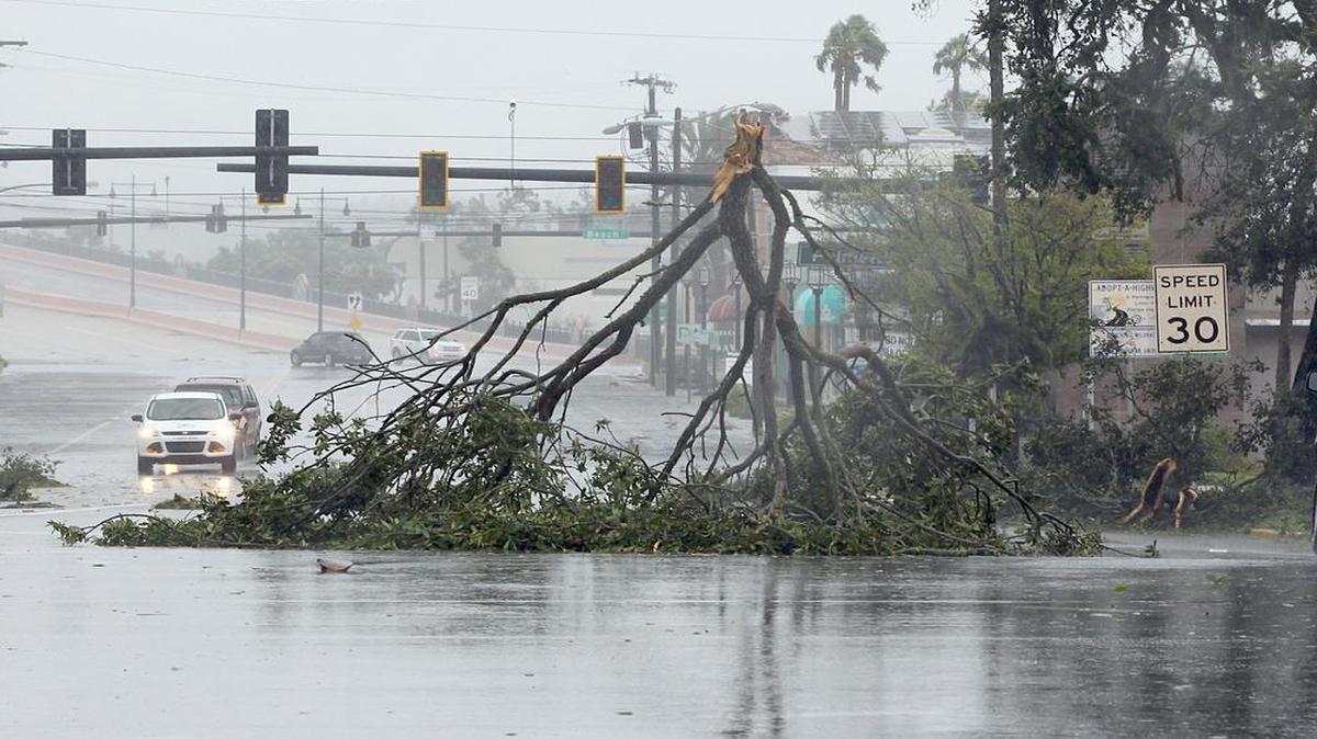 Vista de un árbol caído sobre una autopista en Daytona Beach tras el paso del huracán Matthew.