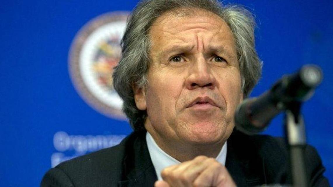 Luis Almagro, secretario general de la Organización de Estados Americanos (OEA), fue invitado a Cuba por la Red Latinoamericana de Jóvenes por la Democracia, presidida por Rosa María Payá, para recibir el Premio ‘Oswaldo Payá, Libertad y Vida’. El gobierno cubano le impidió la entrada.