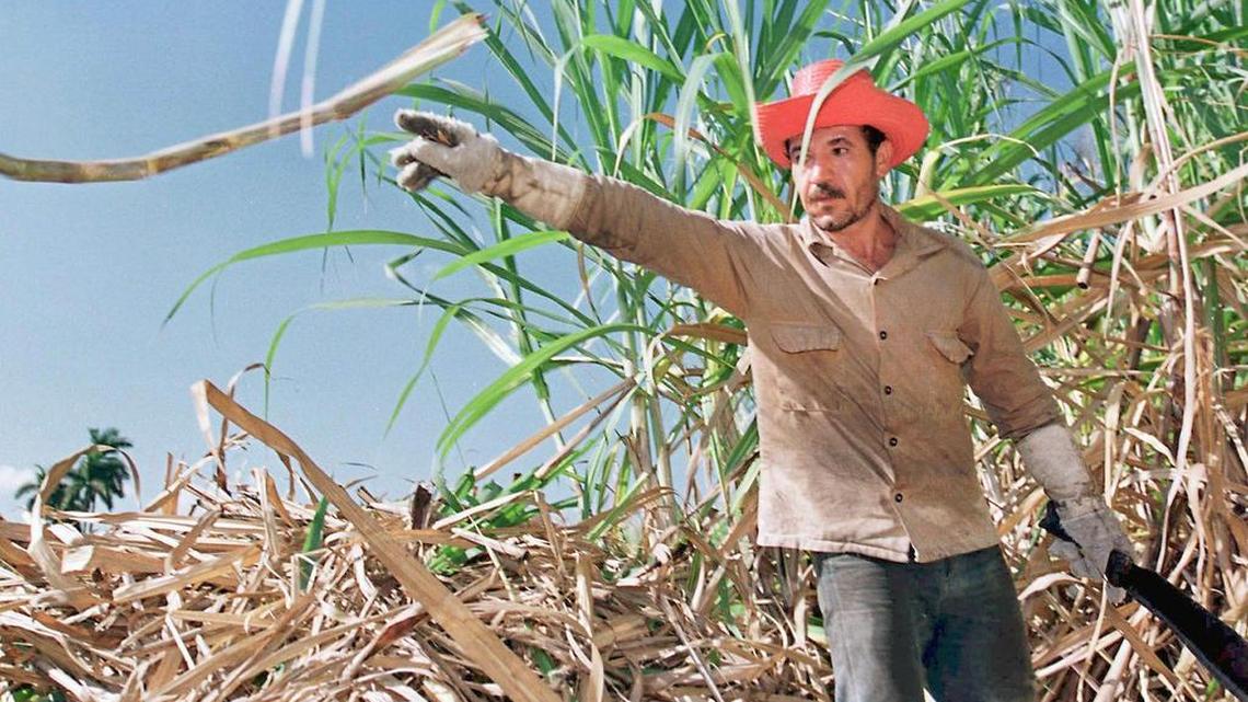 Cuba no ha logrado remontar el declive de su industria azucarera.