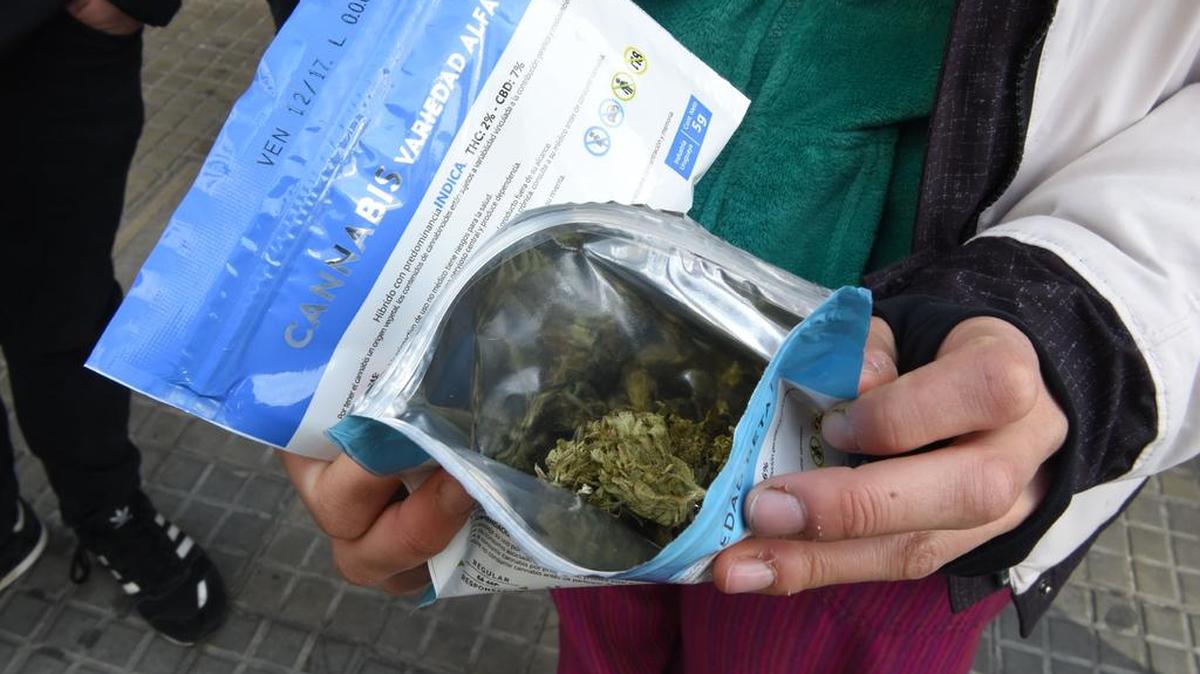 Un hombre muestra dos sobres con marihuana que acaba de comprar en una farmacia en Montevideo, el 19 de julio de 2017. Uruguay y Canadá son los dos países que han legalizado el uso de la marihuana.
