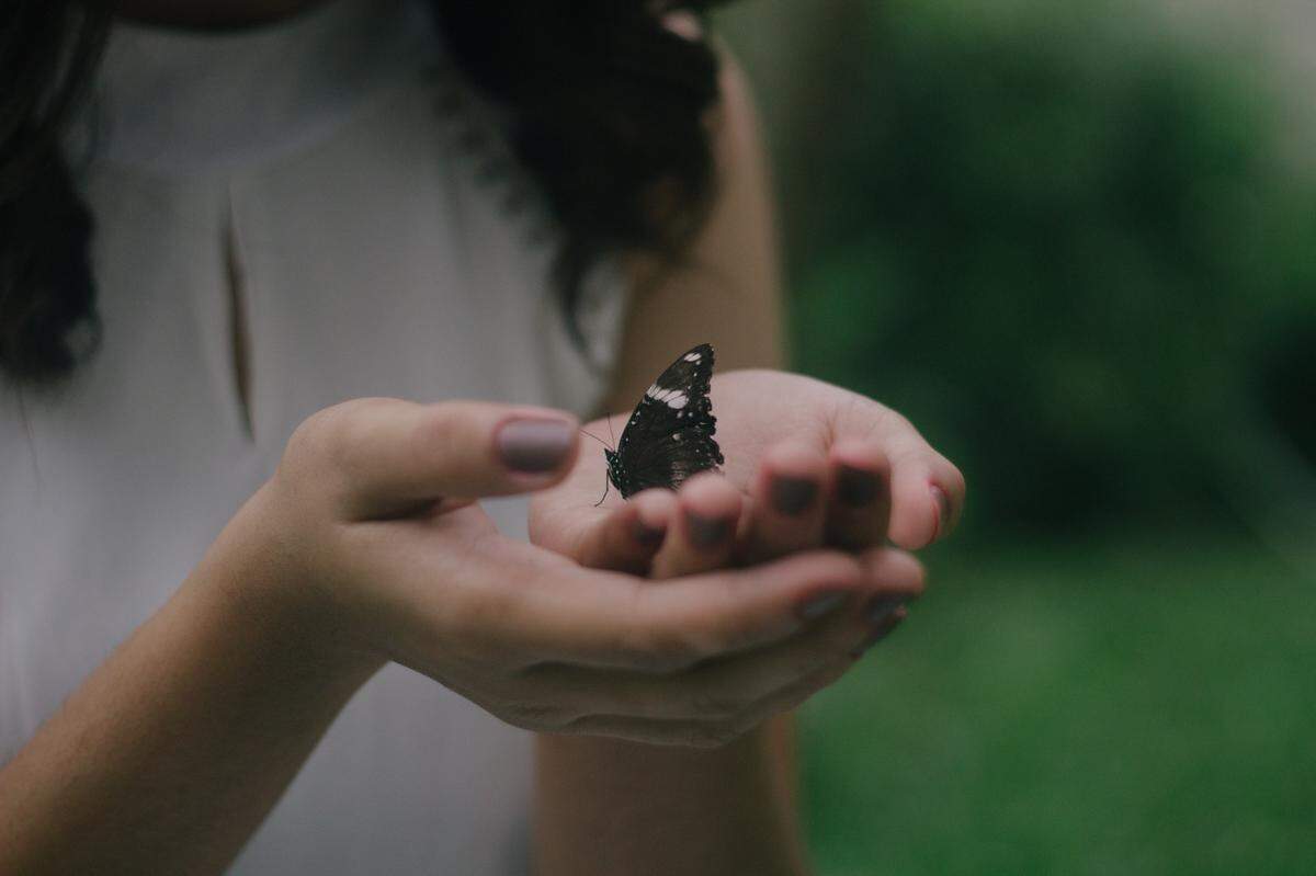 La mariposa es el amuleto para Libra en 2022. Te dará el don de aceptar el cambio con elegancia y elocuencia. 