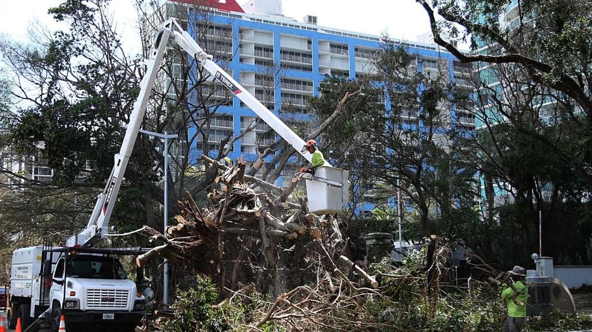 Trabajadores hacen limpieza en el área de Brickell Avenue, el 12 de septiembre. Si su casa quedó destruida o tiene daños serios, puede inscribirse con la FEMA para recibir asistencia, no importa si ha presentado o no reclamaciones de seguro.