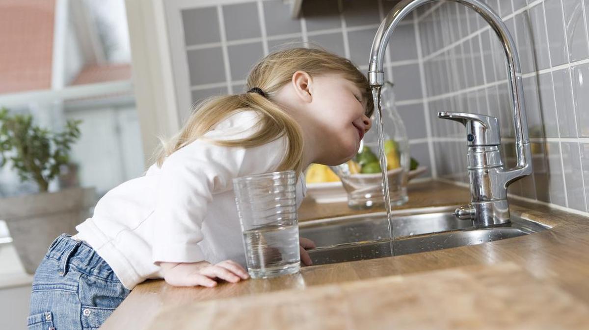 La Florida es el segundo estado con más violaciones de la Ley de Agua Potable registradas en Estados Unidos, según el estudio, elaborado por el Consejo para la Defensa de Recursos Naturales (NRDC).