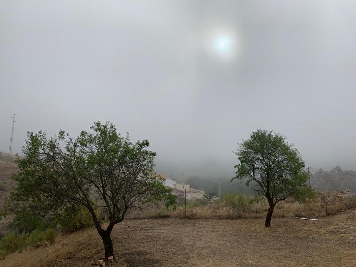 De frutos y hortalizas está sembrada toda la rivera de La Rambla Ancha. Rambla que, miles de años atrás, fuera el cauce de algún río serpenteando entre las montañas de la sierra formando valles.