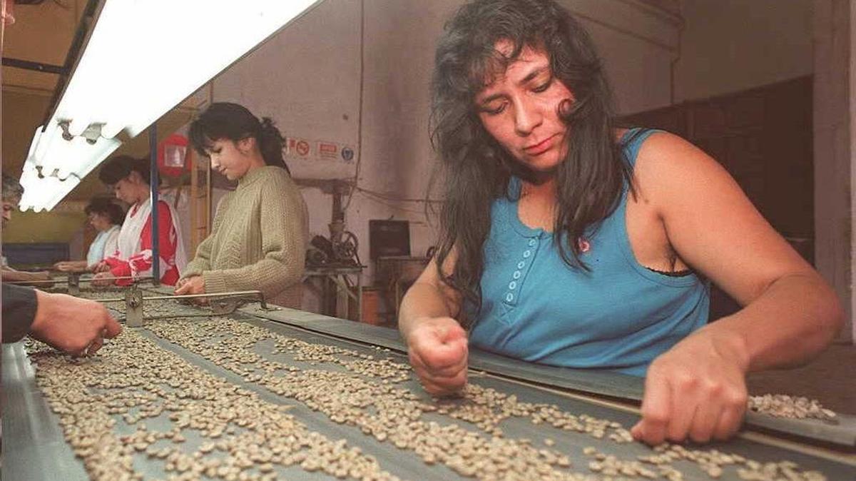 El conflicto armado obligó a los hombres a huir a las ciudades. Muchas mujeres decidieron salir adelante, administrando las fincas cafeteras en las que hasta entonces habían jugado un discreto segundo plano.
