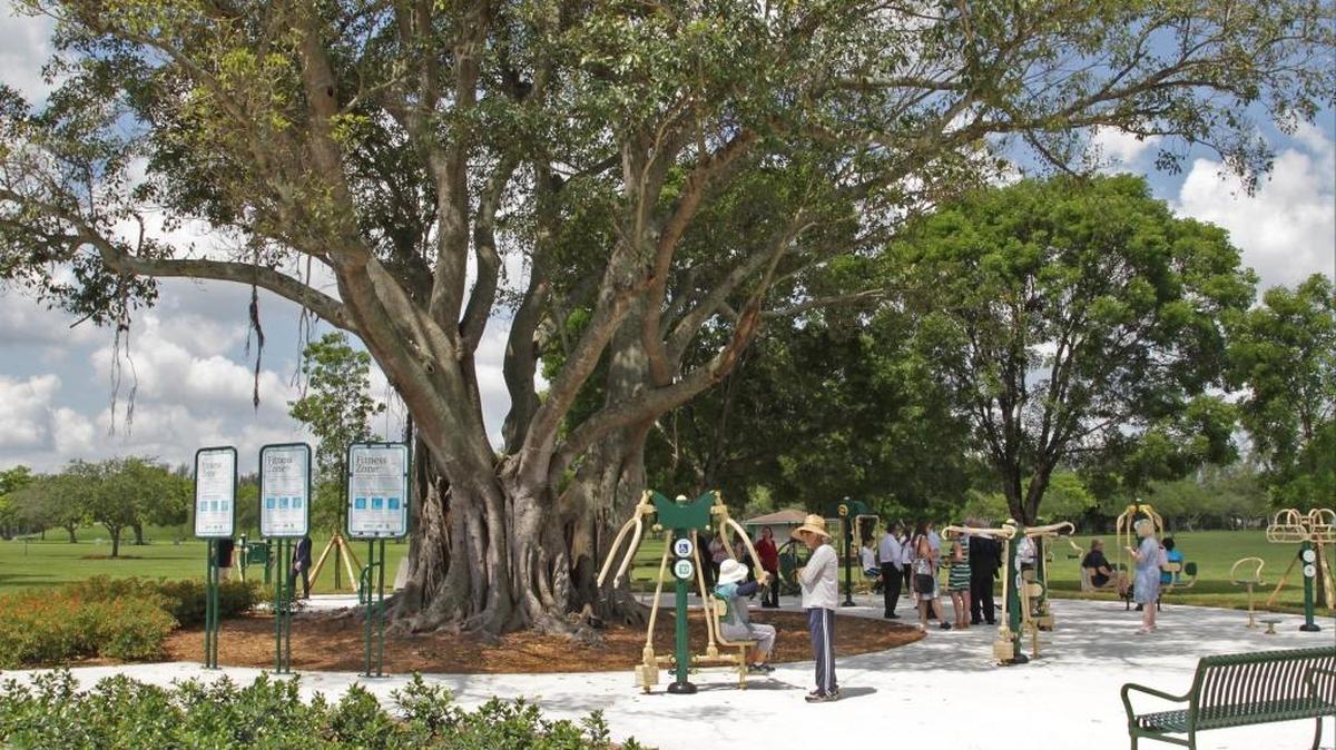Un gran árbol da sombra a las personas que vienen a hacer ejercicios en la nueva zona dedicada a ese fin en Tropical Park, inaugurada en junio.