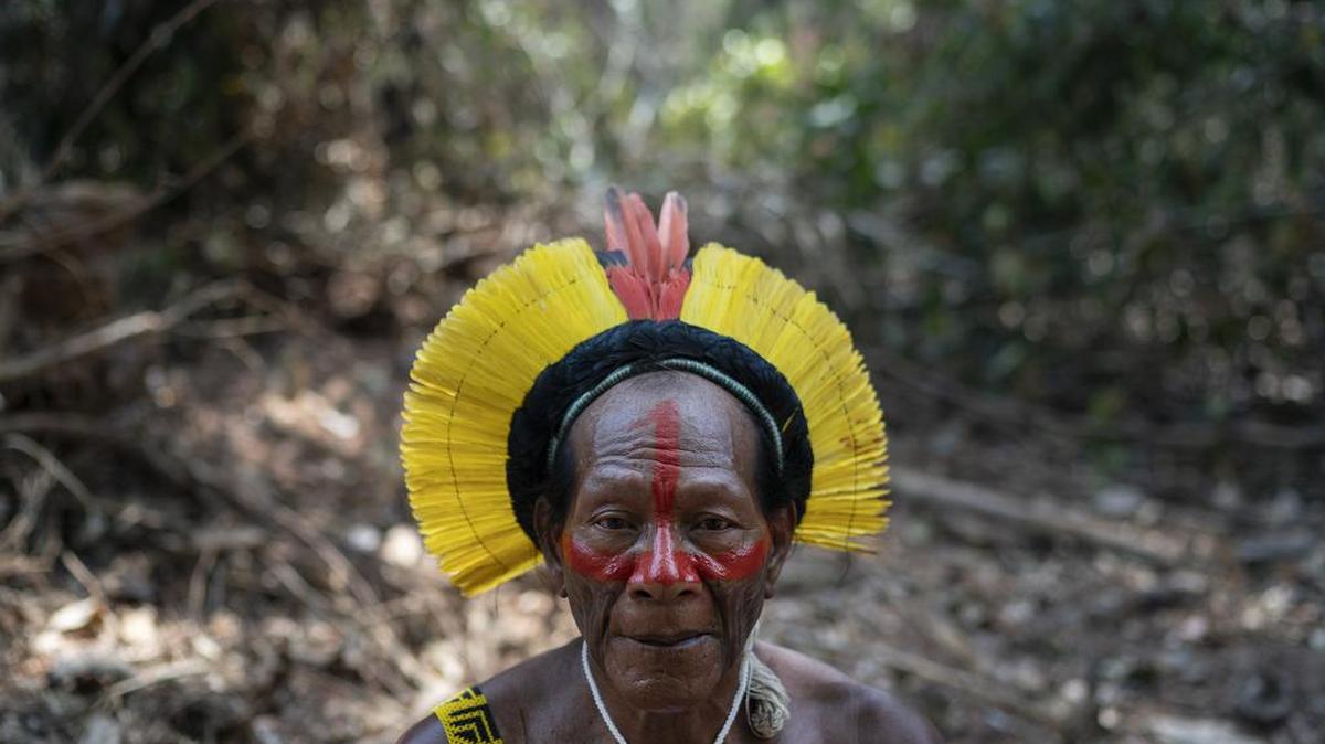El jefe Kadjyre Kayapo, de la comunidad indígena Kayapo, posa en un terreno que ha sido desforestado ilegalmente en la Reserva Biológica Serra do Cachimbo en Altamira, en ele estado brasileño de Pará.