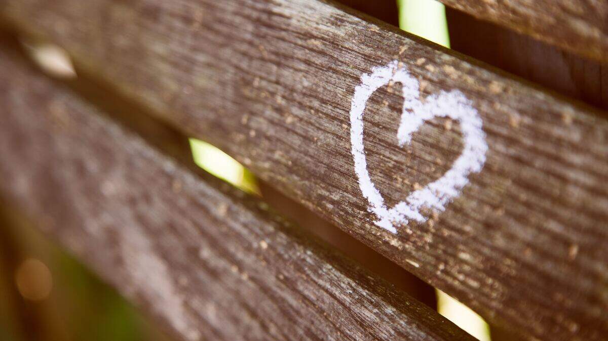El cerebro es nuestro contenedor intelectual, pero es el corazón el que impulsa a la acción desde el amor. 