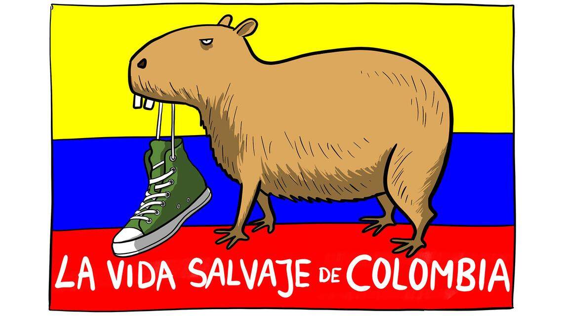 Consigue un mes de Gymglish gratis y empieza a aprender un nuevo idioma