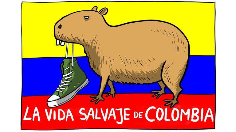 Consigue un mes de Gymglish gratis y empieza a aprender un nuevo idioma