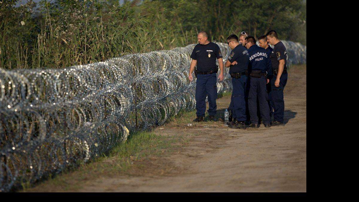 La policía húngara inspeccionan una cerca de alambre de púas en la frontera con Serbia, en Röszke, Hungría, el sábado, 29 de agosto de 2015. Los inmigrantes temerosos de la muerte en el mar han recurrido cada vez más al uso de una ruta terrestre a Europa.