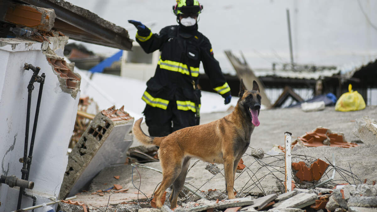 Un miembro de la Cruz Verde de Colombia busca víctimas entre los escombros de un edificio derrumbado en Caraballeda después de que un terremoto de magnitud 7.2 azotara Venezuela y otras regiones del Caribe el 28 de junio de 2026, en La Guaira, Venezuela.