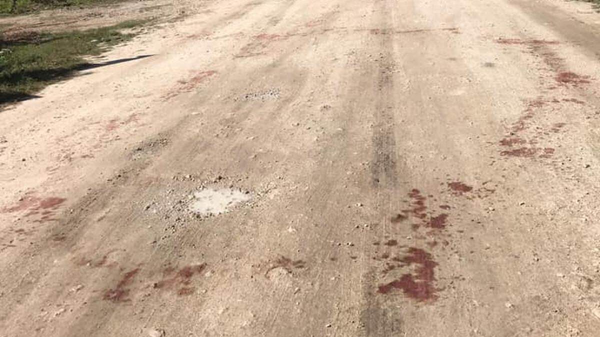 El lugar donde se encuentra el rancho se conoce como el “campo de la matanza” debido a la cantidad de animales que han sido atacados allí, según la Misión de Recuperación de Animales (ARM).