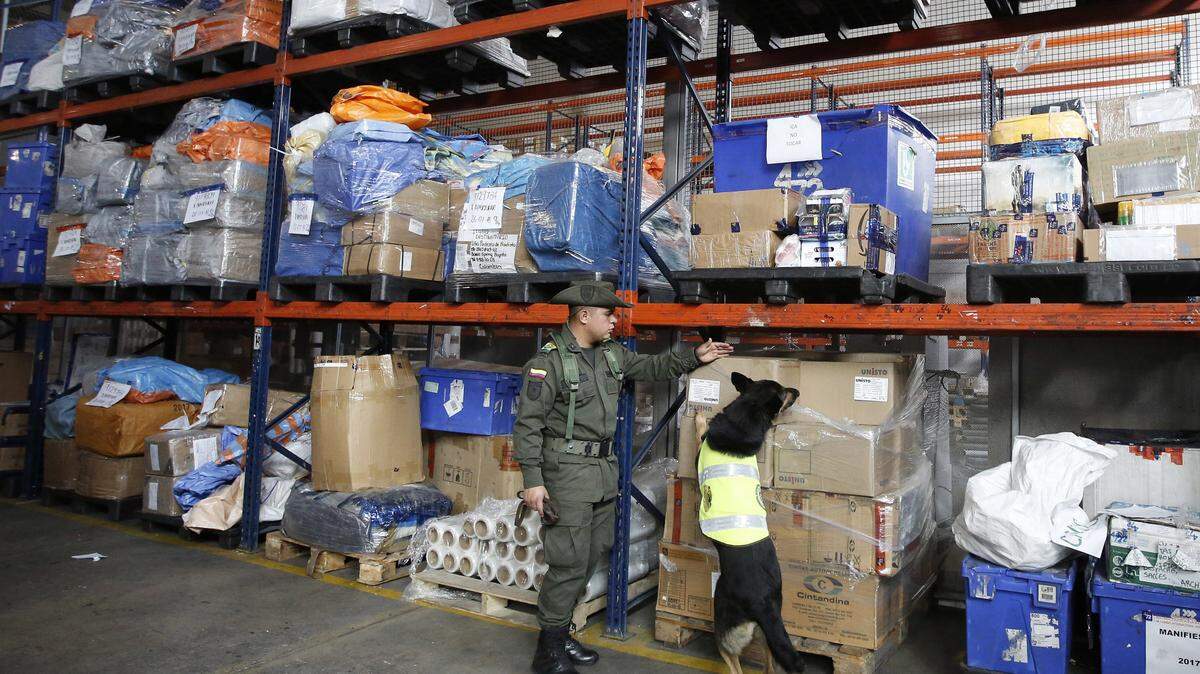 Sombra, el pastor alemán entrenado para descubrir narcóticos, revisa las instalaciones de almacén en el aeropuerto El Dorado, en Bogota, Colombia.