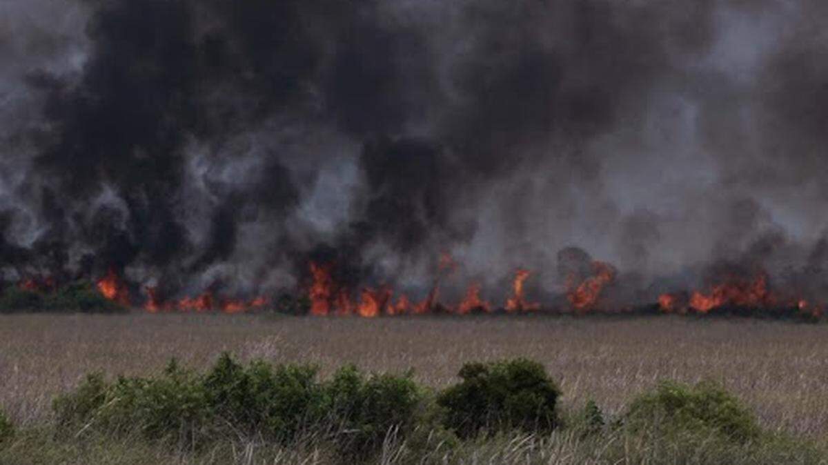 Un incendio forestal arde al oeste de Weston, adentrándose en los Everglades, el lunes 11 de mayo de 2026; la escena es observada desde el Everglades Holiday Park, Florida.