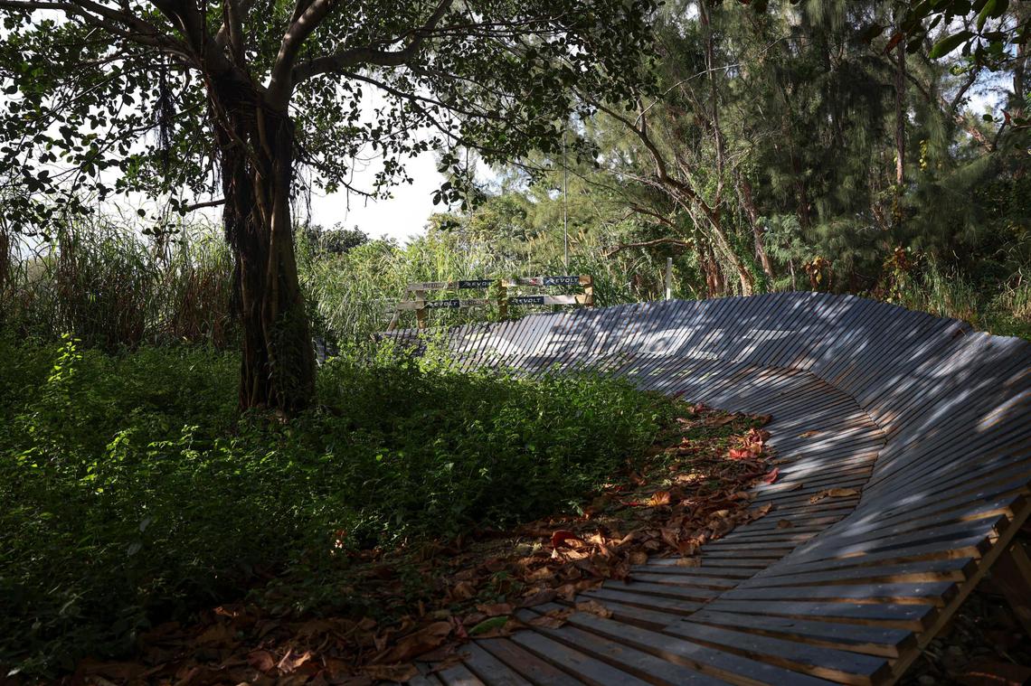 A wooden berm on a mountain bike trail in Amelia Earhart Park, north of Hialeah, Dec. 21, 2022.