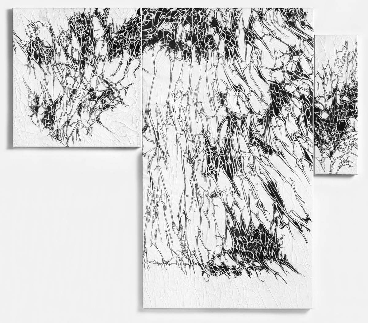 ‘Spic and Span in June and July’, 2019, tríptico con grafito sobre papel y sobre lienzo, 51 x 29.5, 22 x 24, 24 x 7.5 pulgadas.