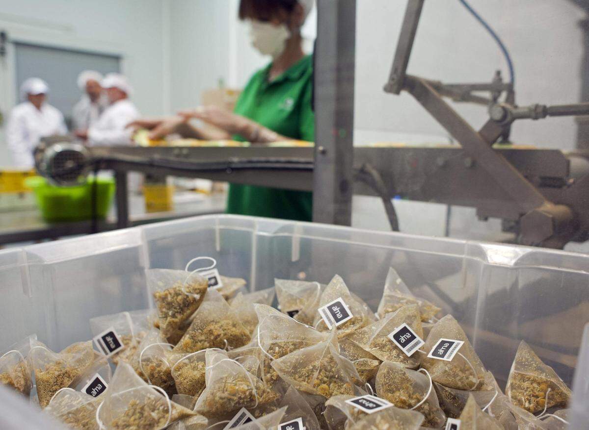 Producción de infusiones ecológicas de Equinácea. Algo que es indudable desde el punto de vista científico es su eficacia como estimulante de la inmunidad del sistema de defensa de nuestro cuerpo.