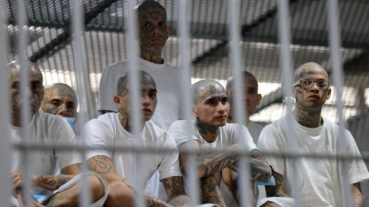 Reclusos permanecen en una celda durante una visita del presidente electo de Chile, José Antonio Kast (fuera de cuadro), al Centro de Confinamiento del Terrorismo (CECOT), la megacárcel donde se encuentran detenidos cientos de miembros de la MS-13 y la pandilla Barrio 18, en Tecoluca, El Salvador, el 30 de enero de 2026.