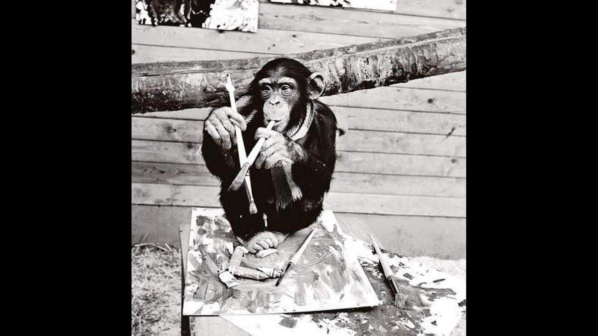Imagen del supuesto pintor Pierre Brassau, que nunca existió y fue un chimpancé el autor de los cuadros firmados por el primero. Toda una farsa.